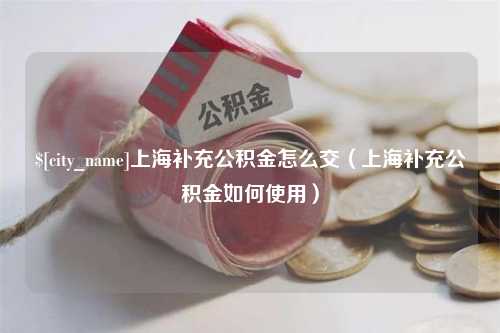 白城上海补充公积金怎么交（上海补充公积金如何使用）